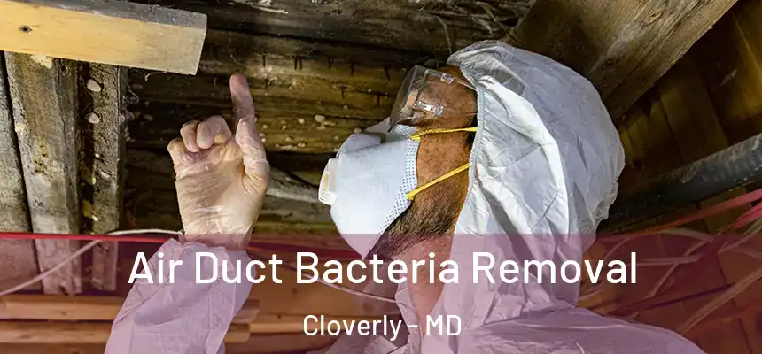  Air Duct Bacteria Removal Cloverly - MD