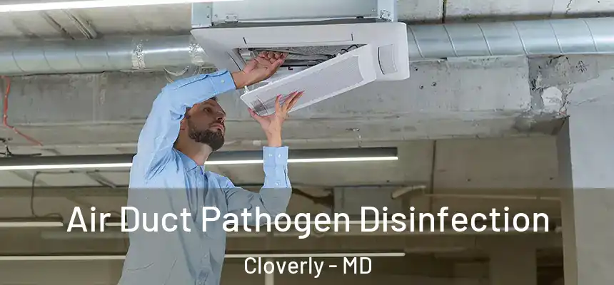  Air Duct Pathogen Disinfection Cloverly - MD