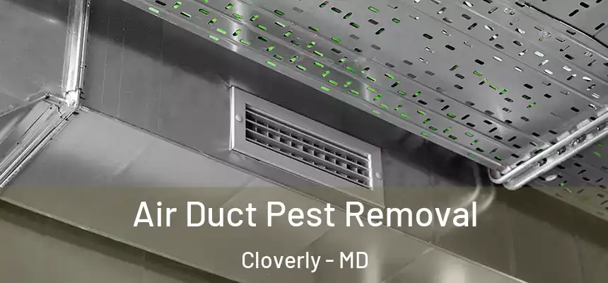  Air Duct Pest Removal Cloverly - MD
