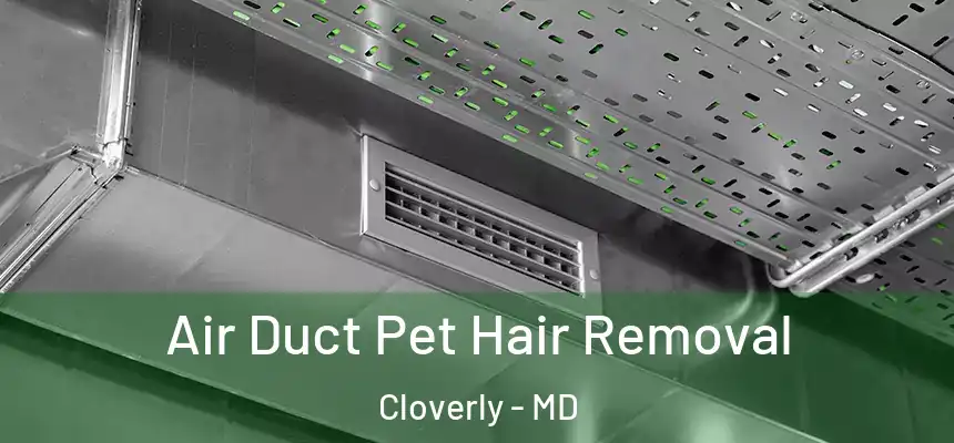  Air Duct Pet Hair Removal Cloverly - MD