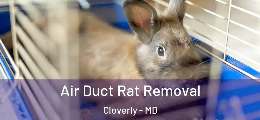  Air Duct Rat Removal Cloverly - MD