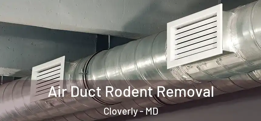  Air Duct Rodent Removal Cloverly - MD