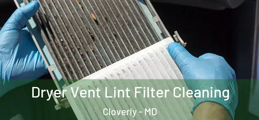  Dryer Vent Lint Filter Cleaning Cloverly - MD