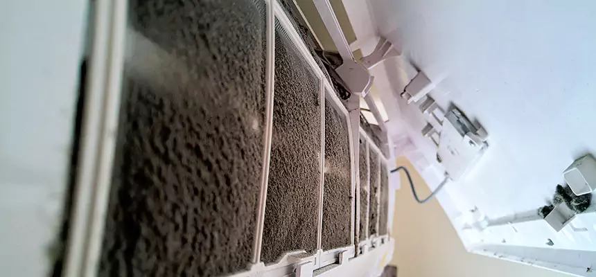 Preventive Air Duct Bacteria Removal in Cloverly