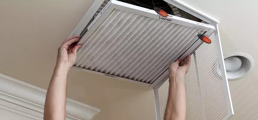 Preventive Cockroach-Proofing for Ducts in Cloverly