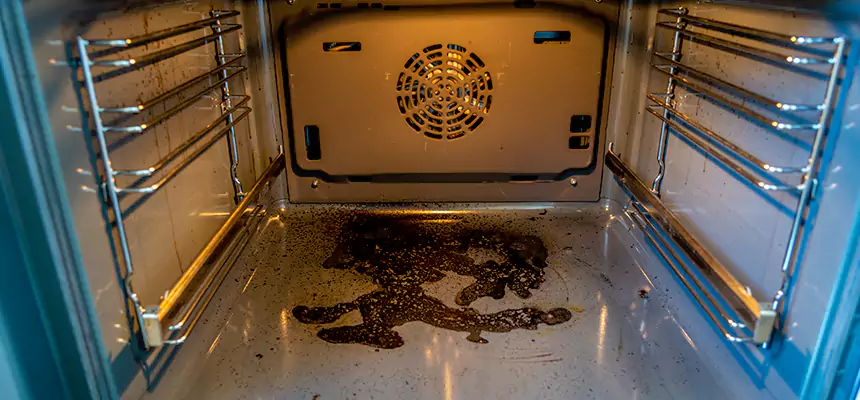 Our Dryer Vent Mold Cleaning Services in Cloverly, MD