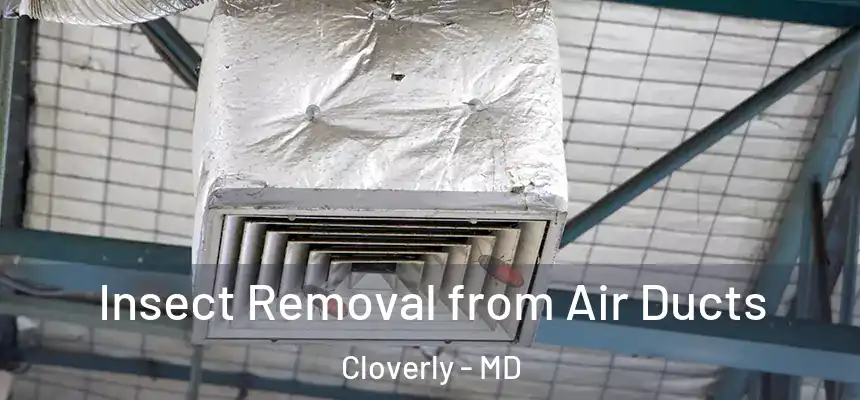  Insect Removal from Air Ducts Cloverly - MD