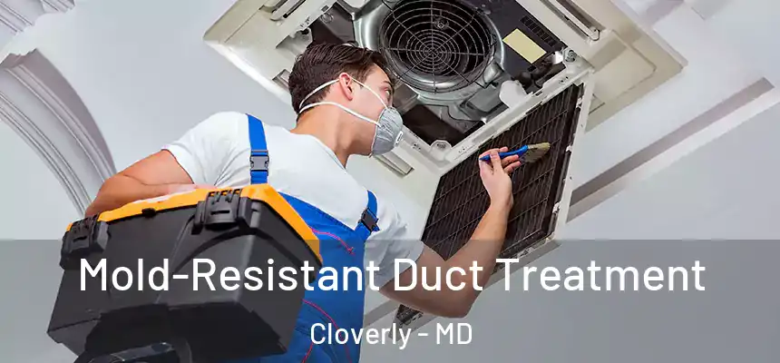  Mold-Resistant Duct Treatment Cloverly - MD