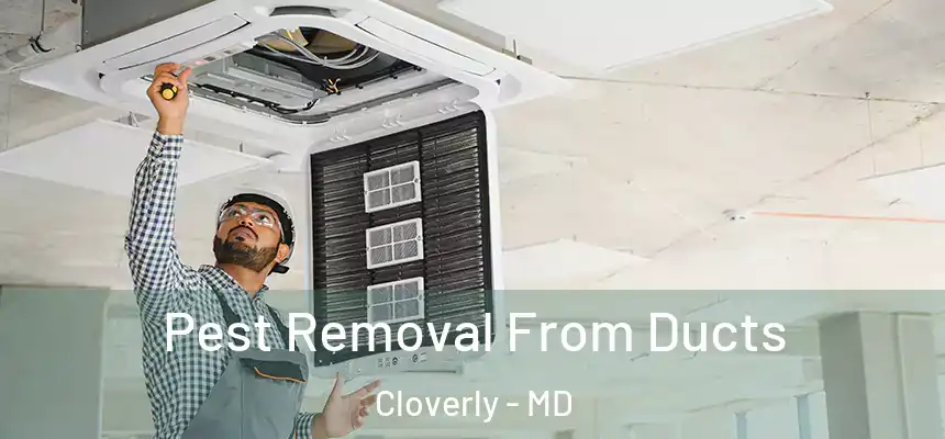  Pest Removal From Ducts Cloverly - MD