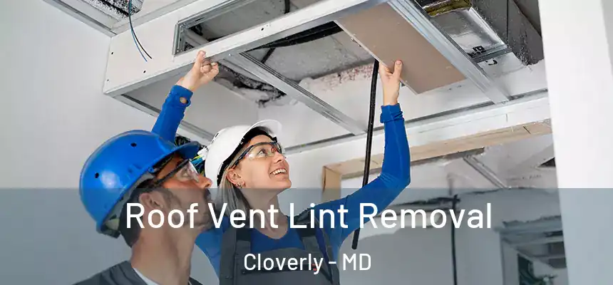  Roof Vent Lint Removal Cloverly - MD