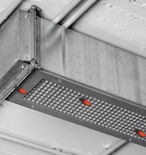 About Air Duct Cockroach Removal in Cloverly, MD