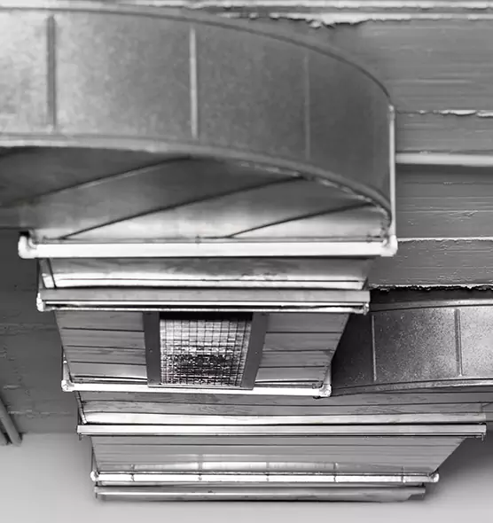 Professional Air Duct Pest Removal in Cloverly, MD