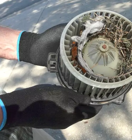 About Air Duct Rat Removal in Cloverly, MD