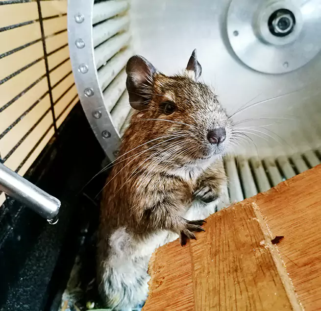 Why Homeowners & Businesses Trust Us Cloverly, MD