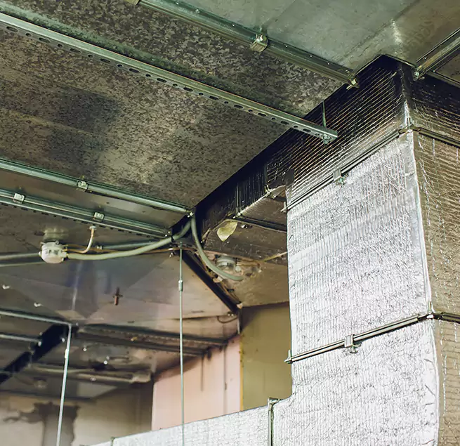 Why Homeowners & Businesses Trust Us in Cloverly, MD?